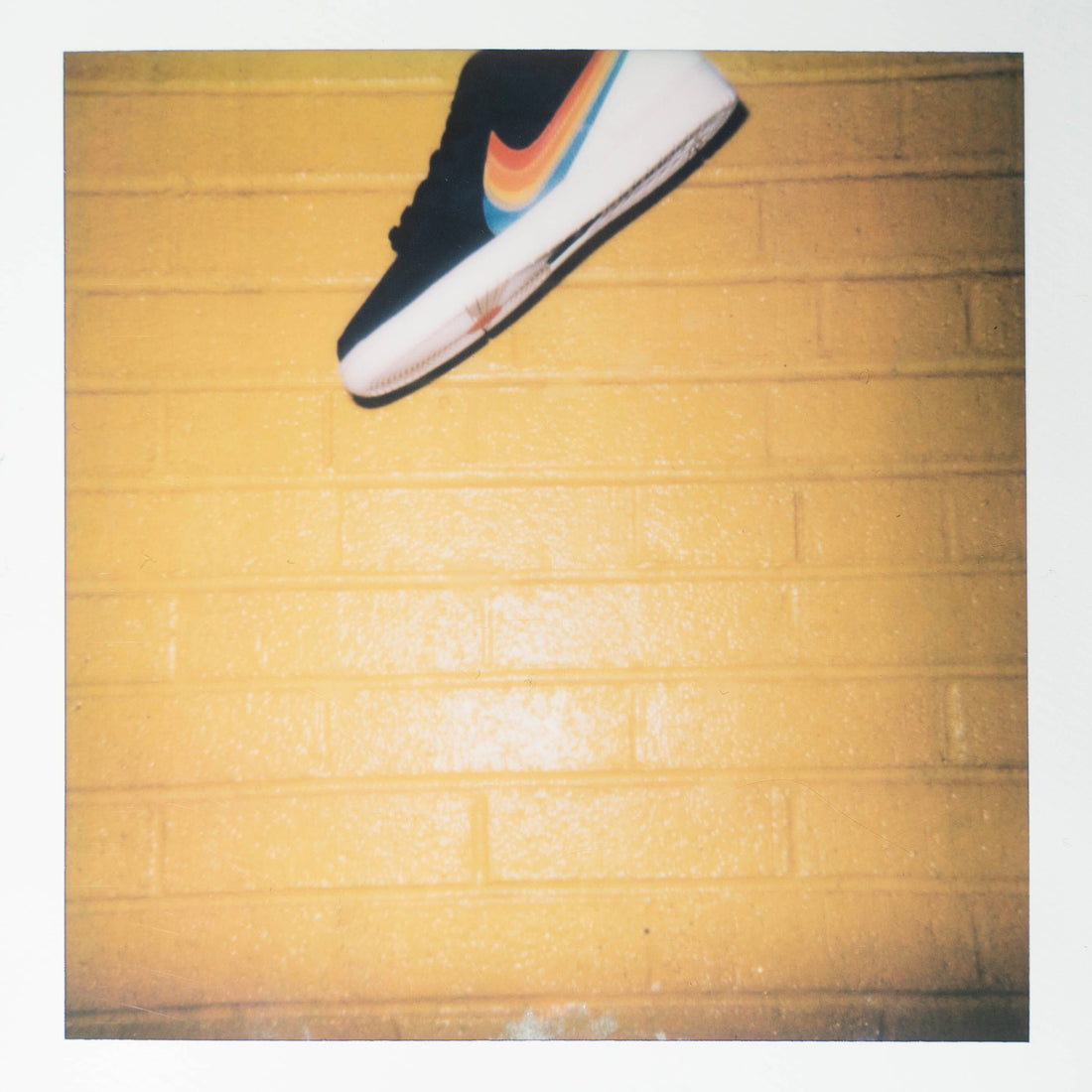 Polaroid Dunk Low Raffle Details
