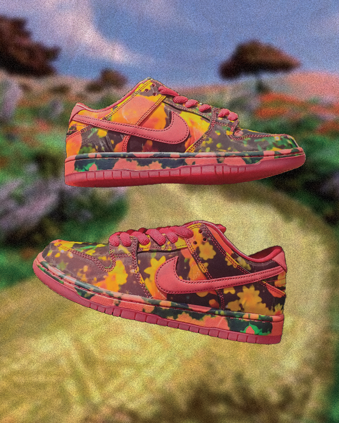 Wizard of Oz Dunk Low Raffle Details – HOMEBASE610