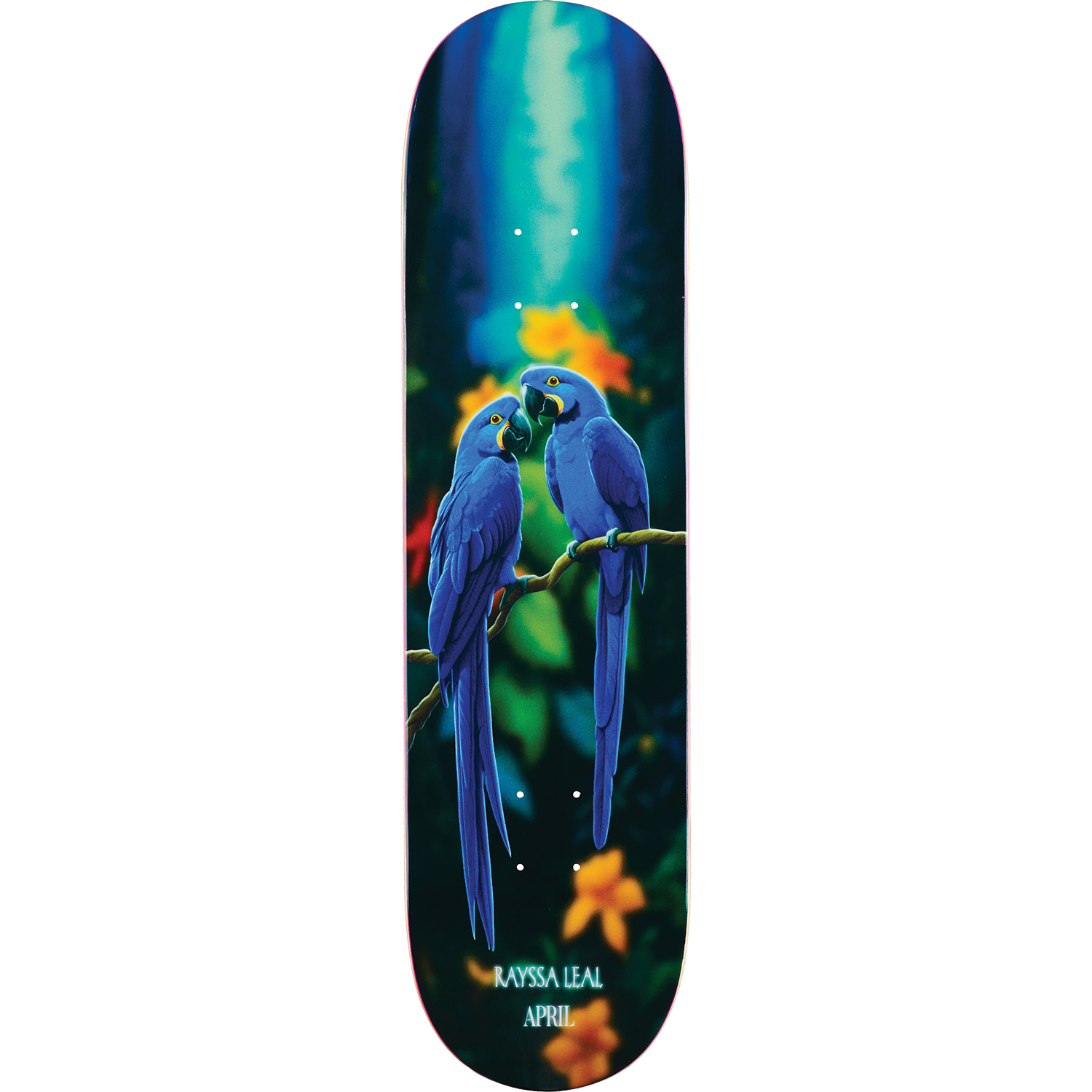 April Leal Blue Macaw Deck, 8.25