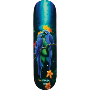 April Leal Blue Macaw Deck, 8.25