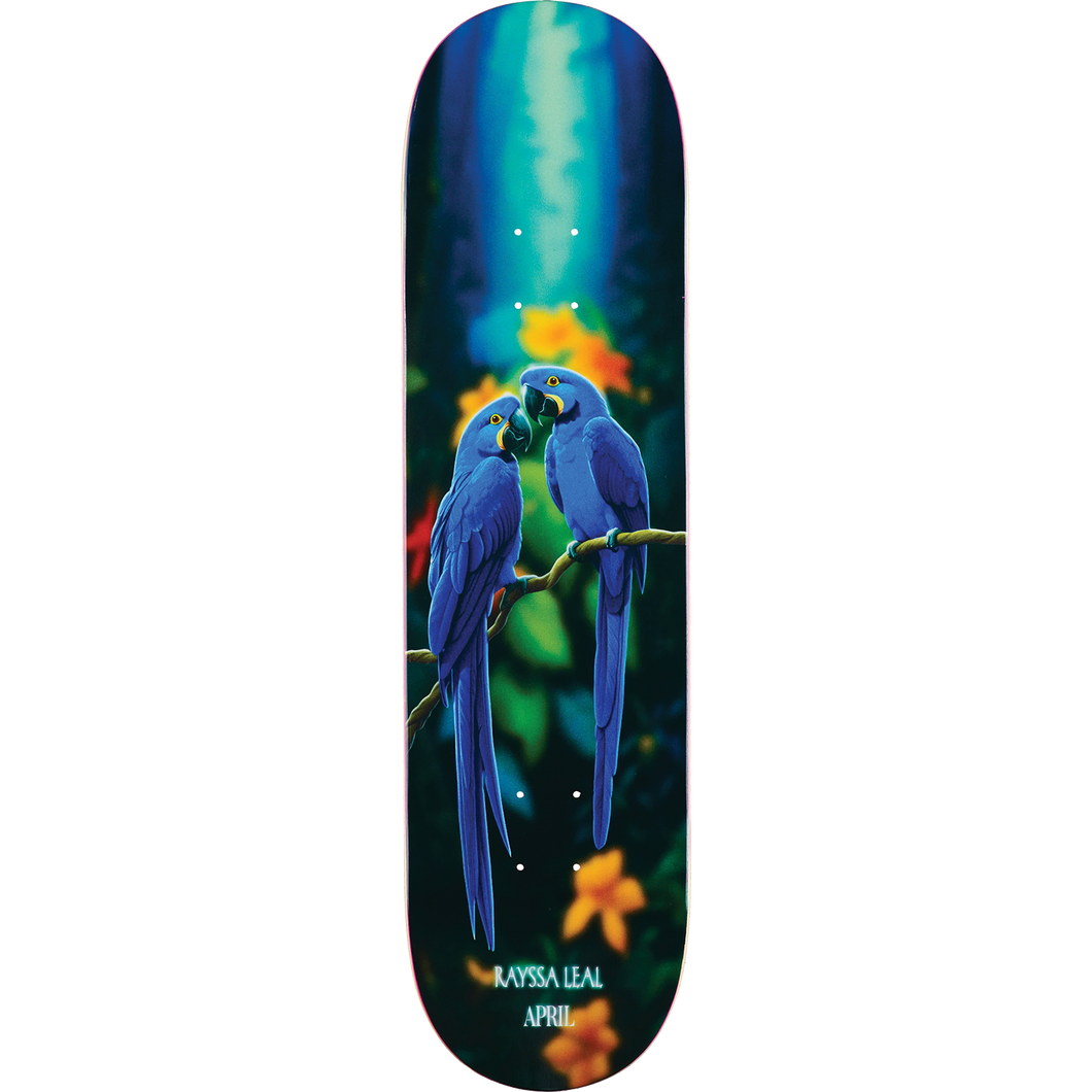 April Leal Blue Macaw Deck, 8.25