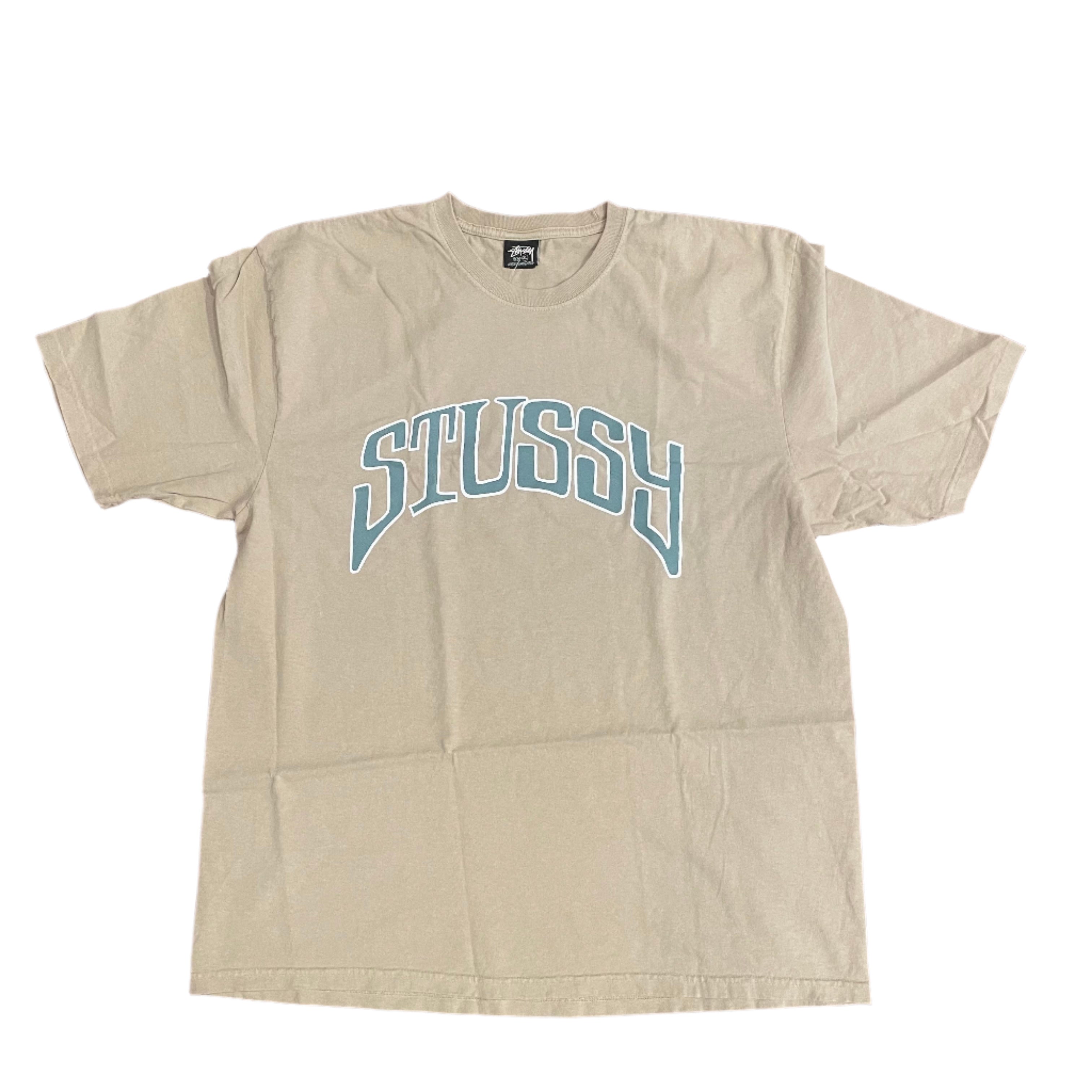 Arched Pig. Dyed T-Shirt