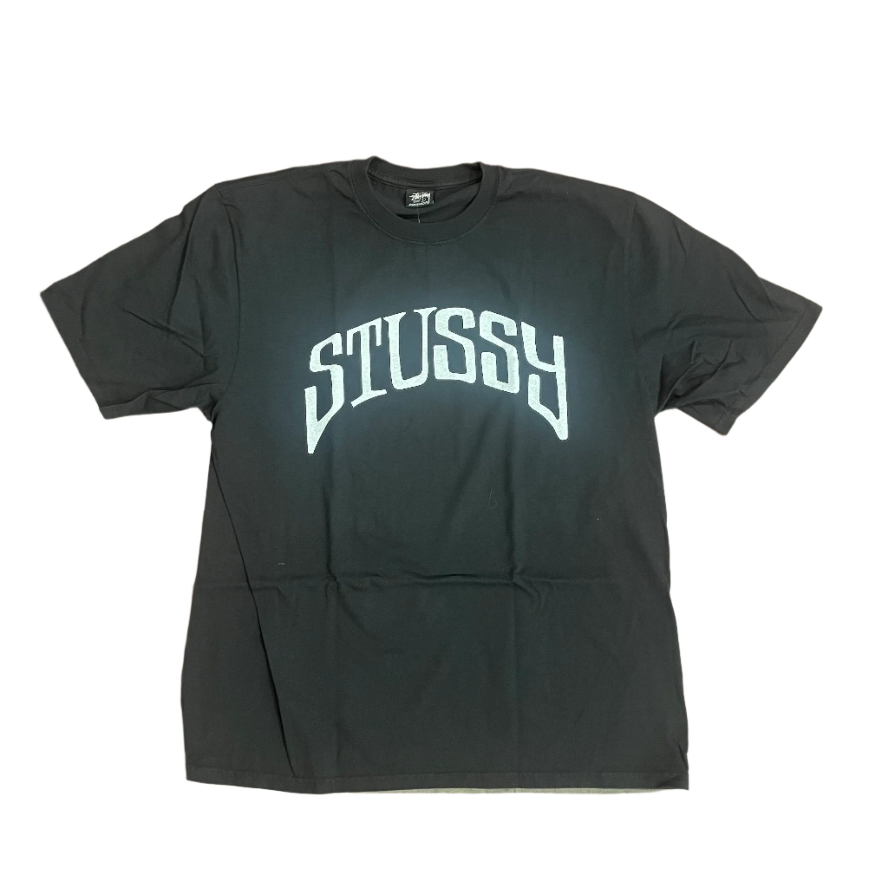 Arched Pig. Dyed T-Shirt