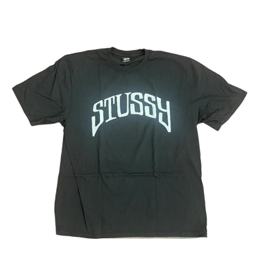 Arched Pig. Dyed T-Shirt