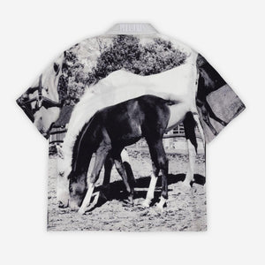 Horse Button Down