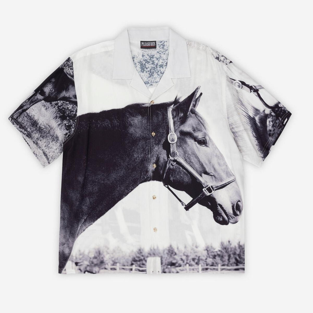 Horse Button Down