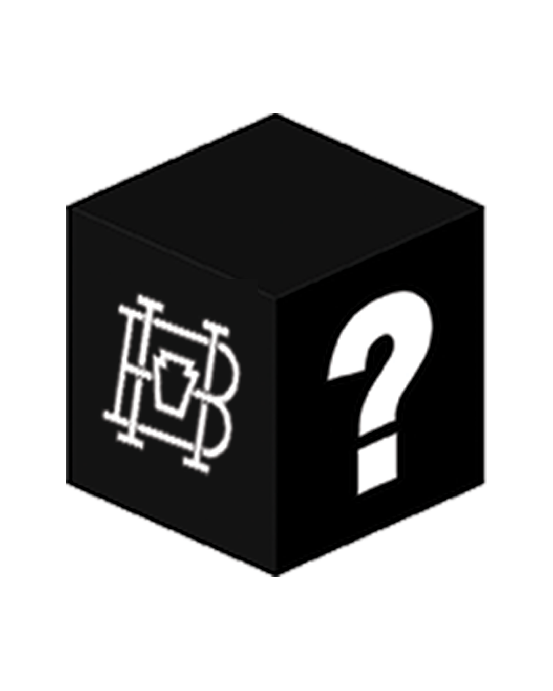 Homebase Holiday Mystery Shoe Box